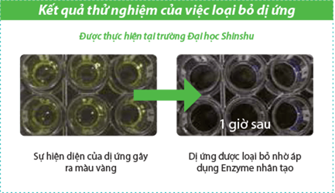 Máy lạnh Mitsubishi Electric MSZ-HL50VA 2.0HP